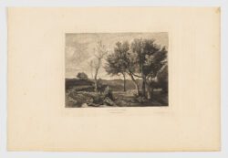 Le Bouquet d'Arbres