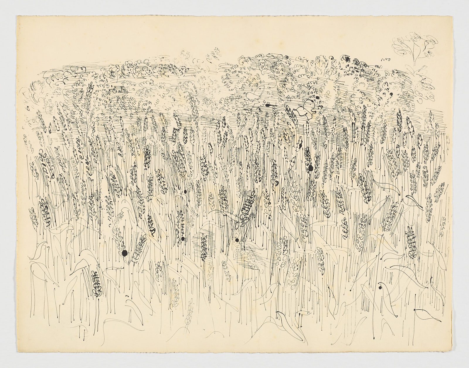 Les Blés, Raoul Dufy