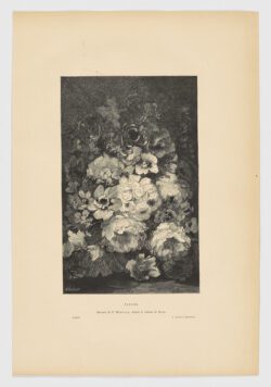 Fleurs