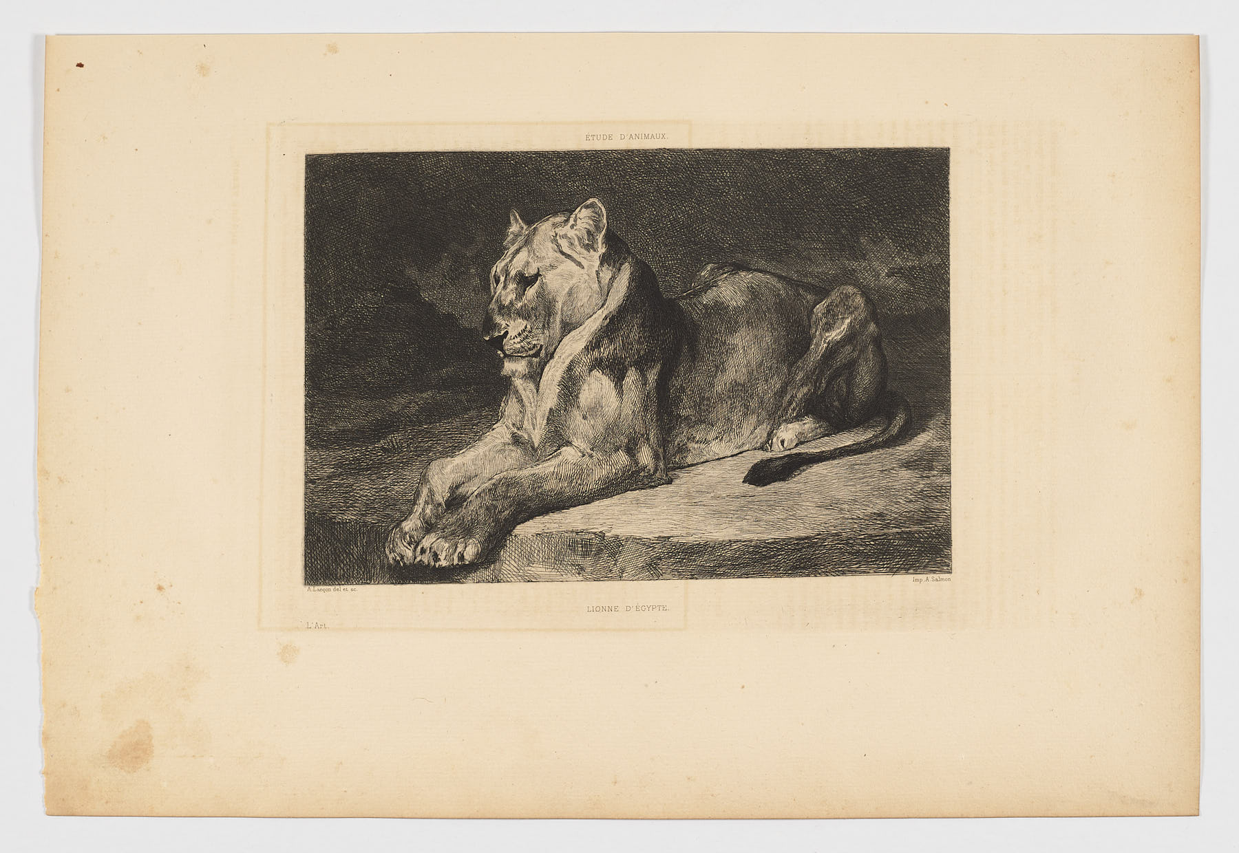 Lionne d'Égypte