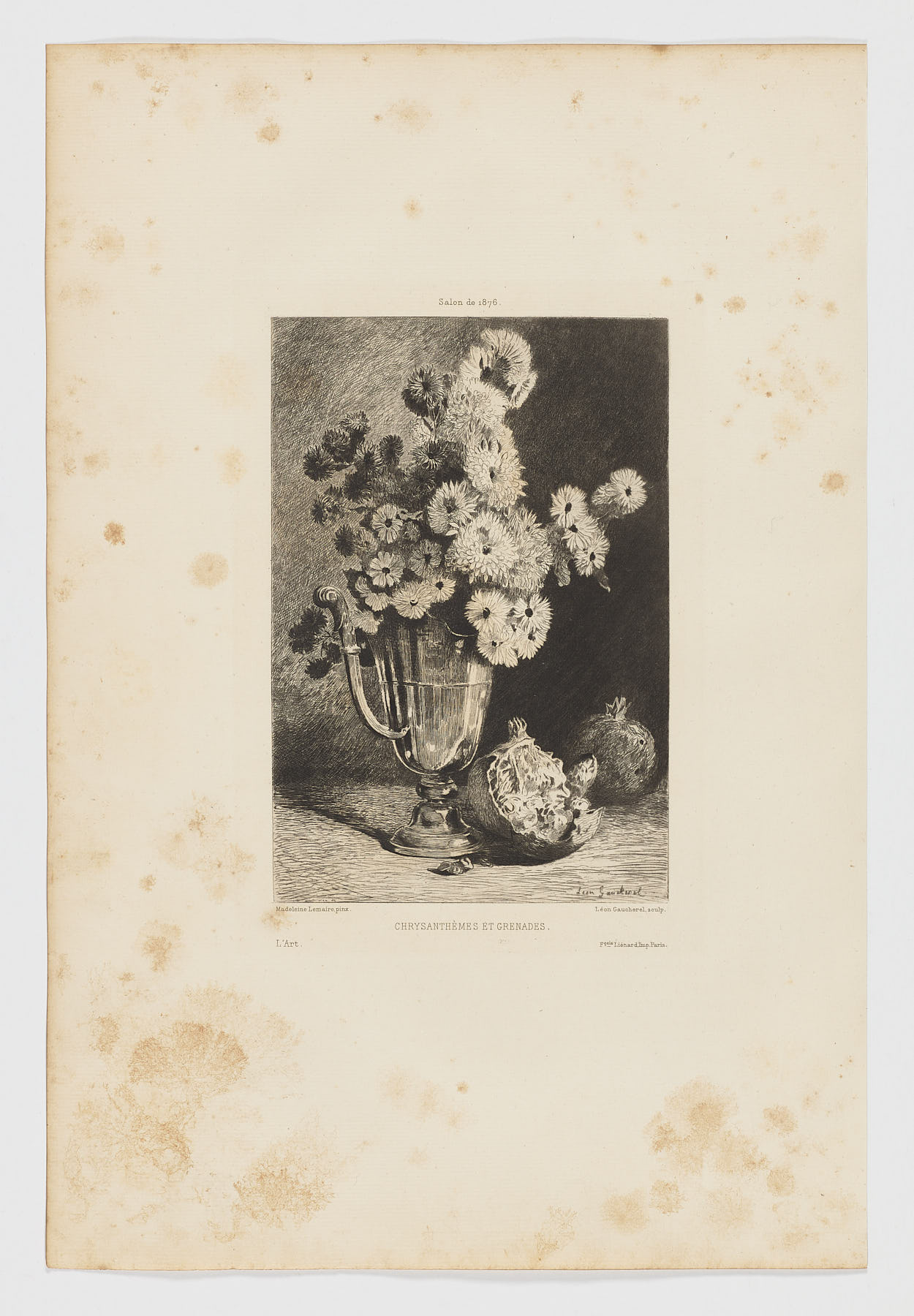 Chrysanthèmes et Grenades