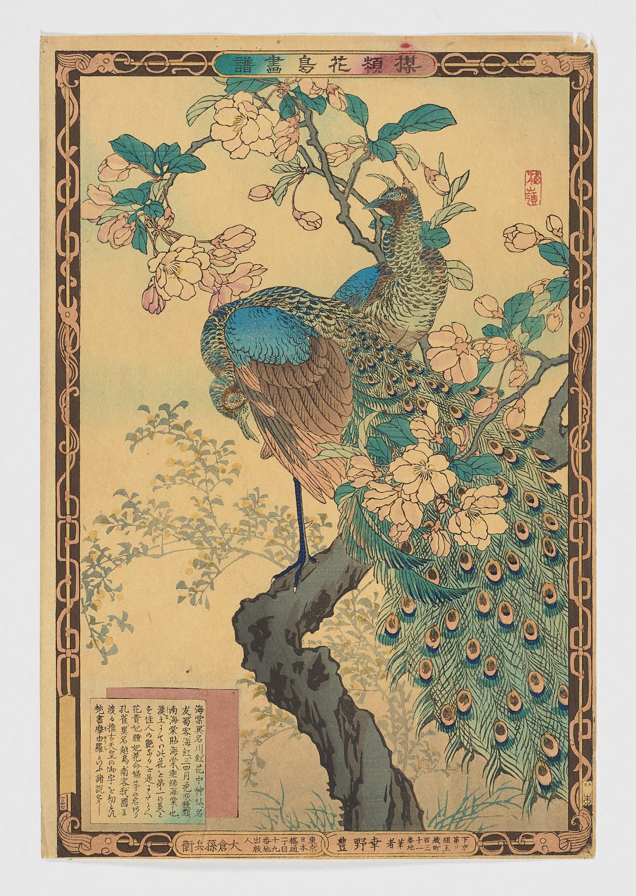 Pavos reales (kujaku) con cerezo en flor (sakura)