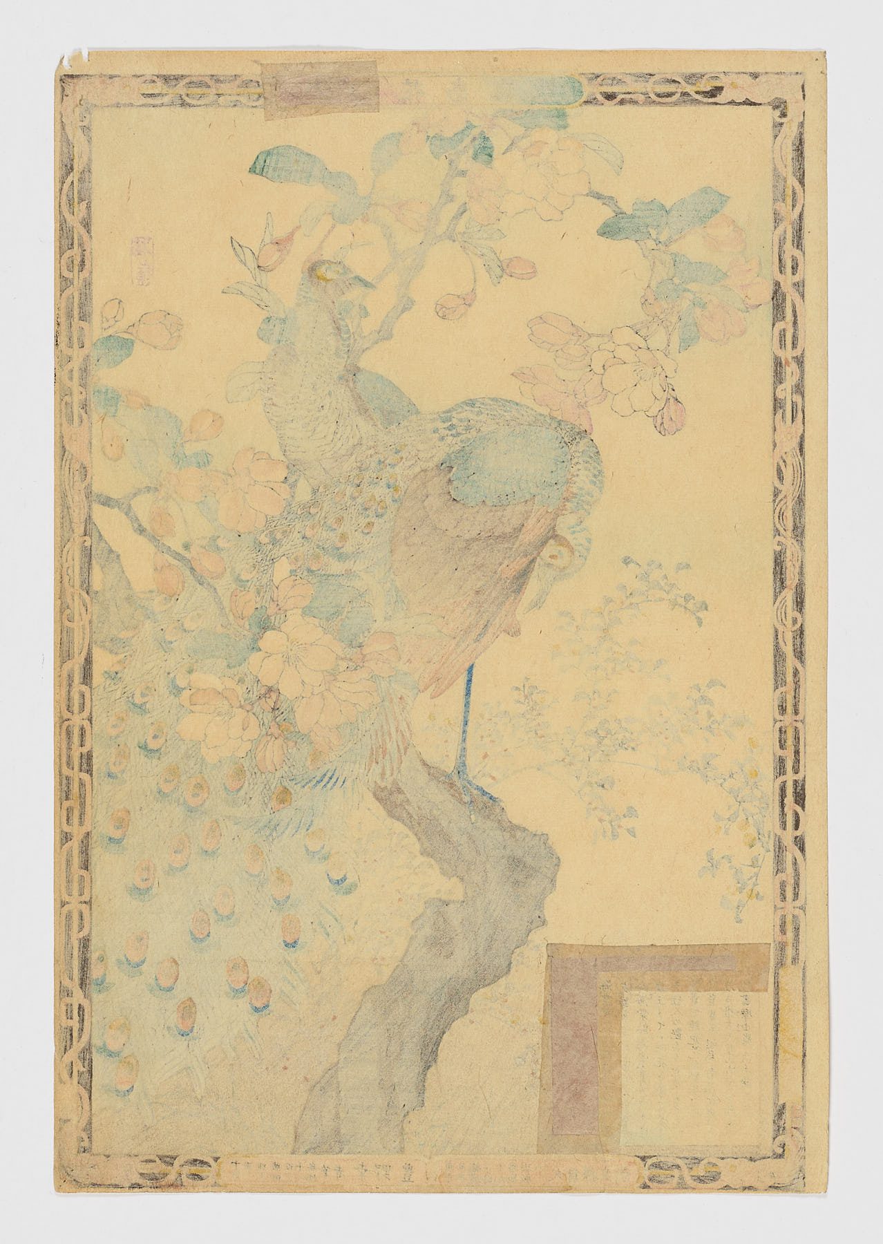 Pavos reales (kujaku) con cerezo en flor (sakura) - Imagen 2